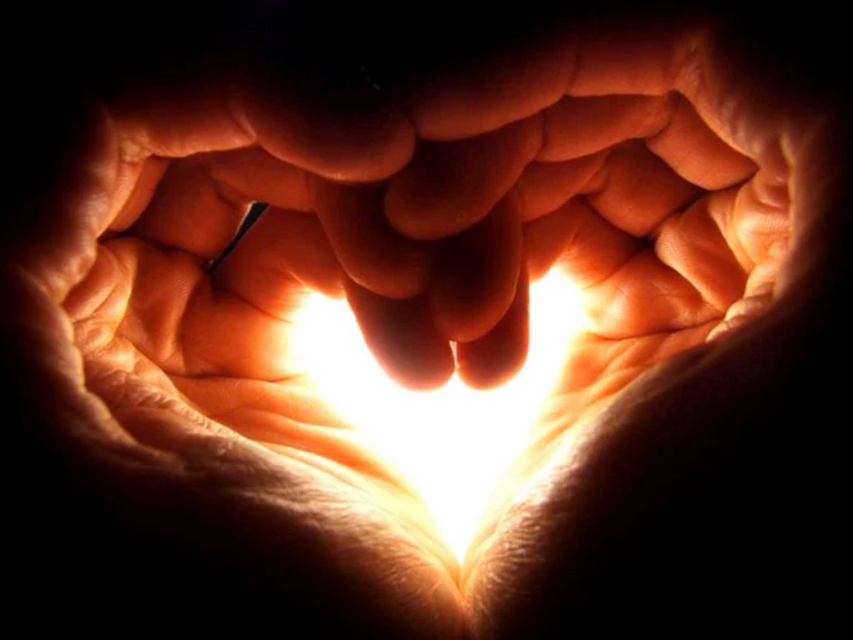 Nuôi dưỡng tâm từ lớn, phiền não sẽ tự tiêu tan...